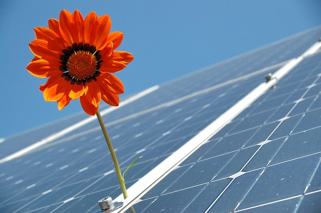 Electric Up Finanatari pentru panouri fotovoltaice