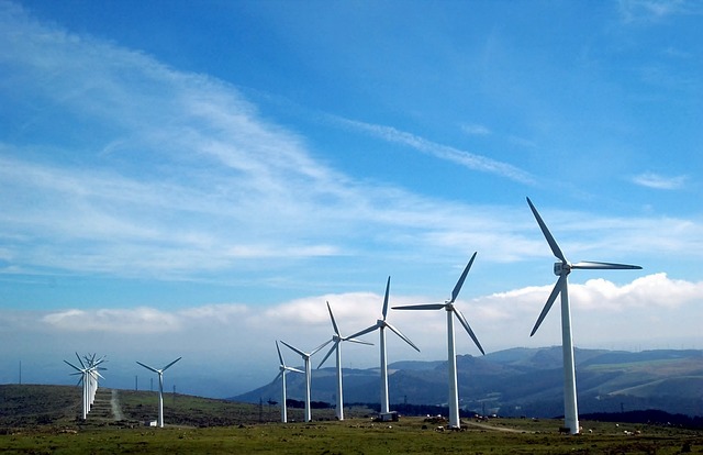 Fonduri nerambursabile pentru energie eoliana