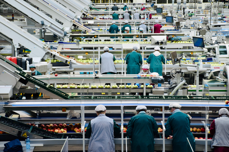 Investitii in conditionarea, depozitarea si procesarea produselor agricole si pomicole